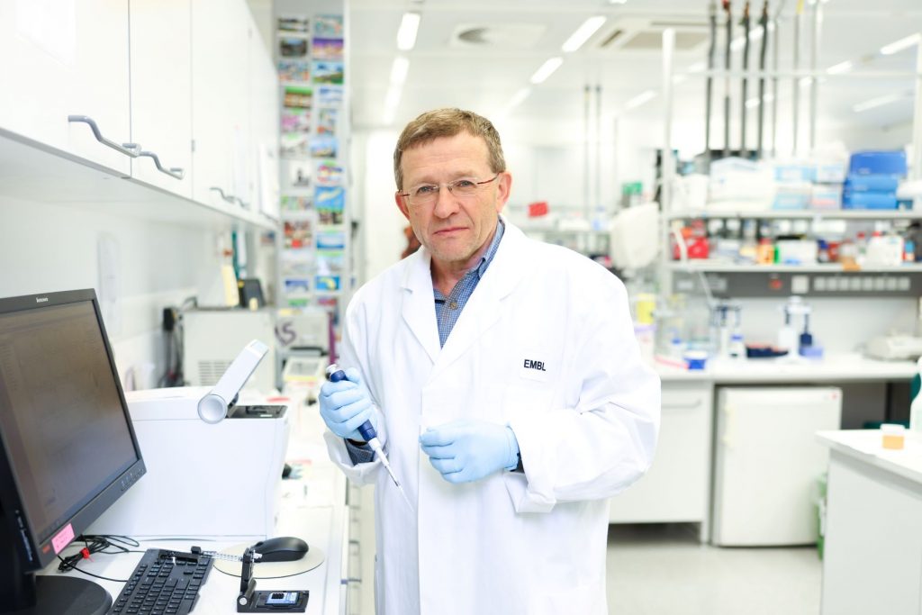 🌐 Embark on a genomics journey with Vladimir Benes, Head of the Genomics Core Facility at EMBL!  Join our FREE virtual course, "Navigating the Genomic Landscape: A Journey with Genome Sequencing." 👉 Enroll today: embl.org/ells/training/…
#GenomicsLLAB2024 #STEM #FreeCourse