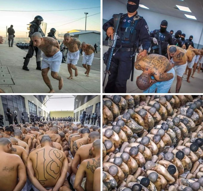 DamaDeFerroTV's tweet photo. O cara que fez isso com os criminoso de El Salvador foi reeleito! https://t.co/dDc1udJbh8