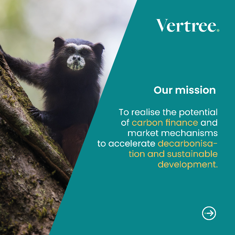 vertree's tweet photo. Today we are proud to announce the launch of Vertree’s refreshed brand and new website!
Thank you to all those who worked on this project and to the Vertree and Hartree team for inspiring it! https://t.co/aGI28BCDaf #Vertree