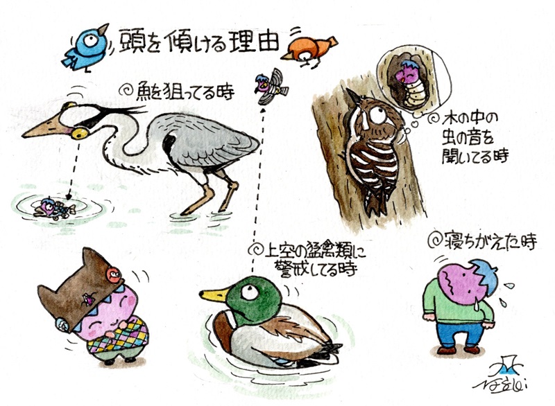 傾ける。 
