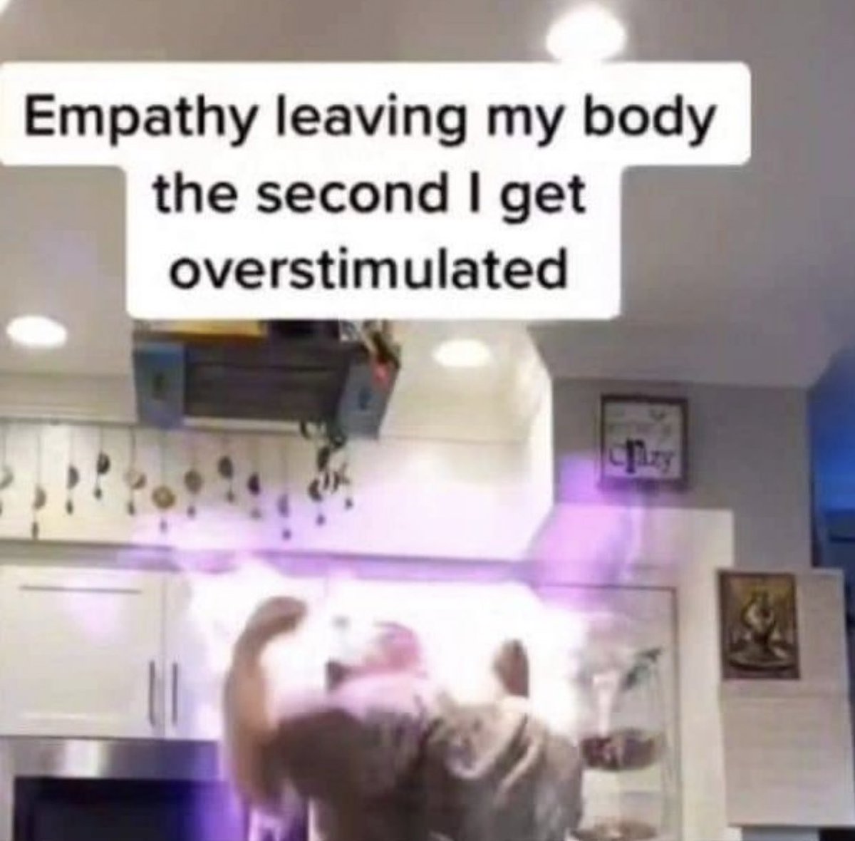 whotfisjovana's tweet image. 