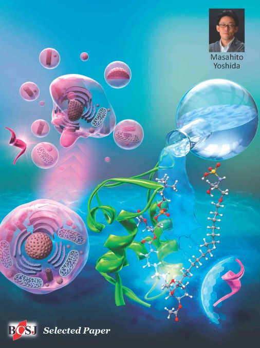 CSJjournals_jp's tweet photo. [カバー紹介][SELECTED PAPER]
#TotalSynthesis , #ProteinProteinInteraction , #StructureActivityRelationship
吉田将人先生 @UNIV_TSUKUBA_JP (筑波大学)
#全合成 #タンパク質間相互作用 #構造活性相関 #OnTheCover #FreeAccess

https://t.co/Jmtf0QyRgG https://t.co/zijwIxZ3CA