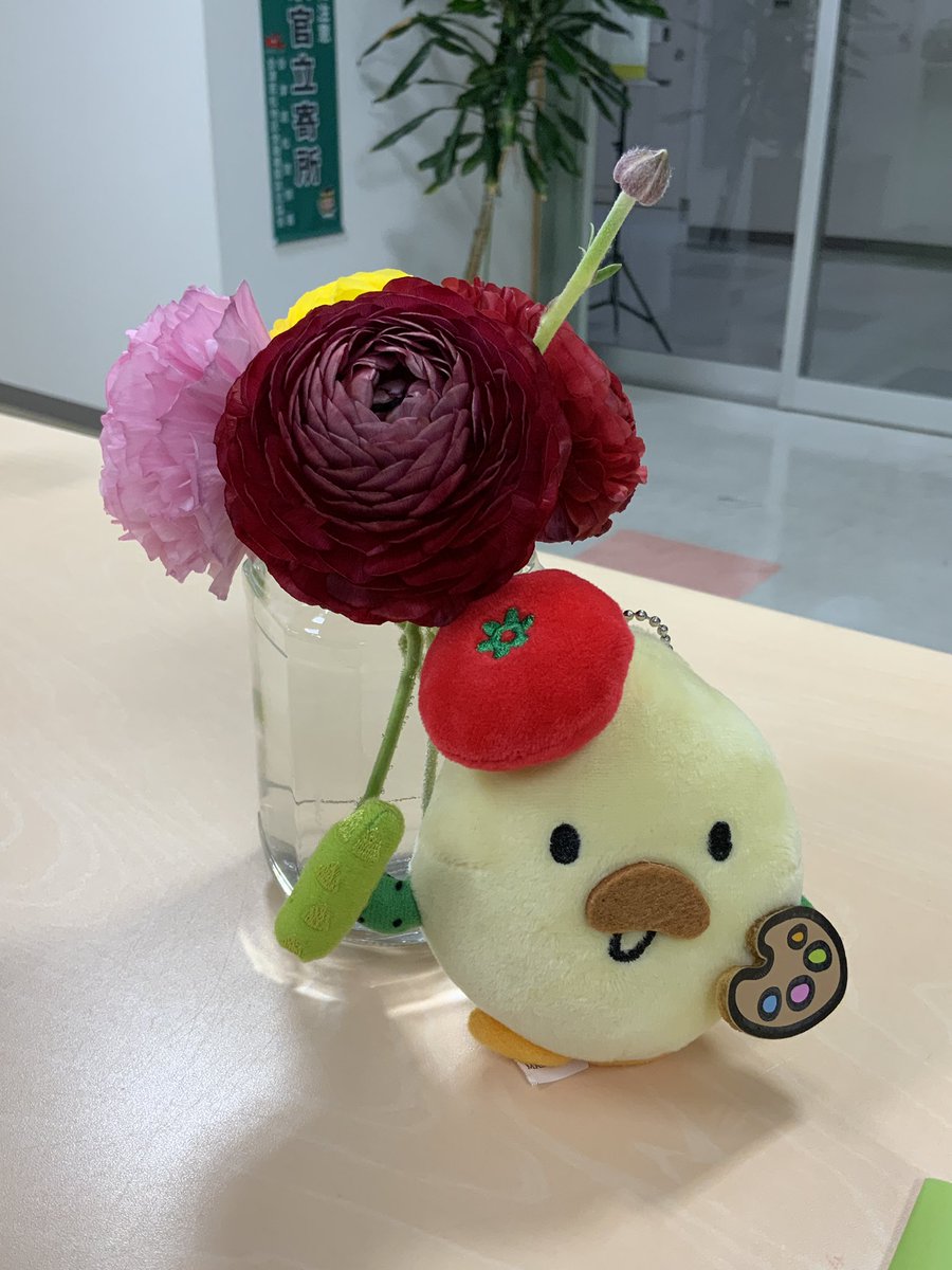 取材時に生産者からいただいたお花。まだまだキレイに咲いていますぞ〜♪
#ラナンキュラス　#暮らしに彩りを　#JA #会津よつば