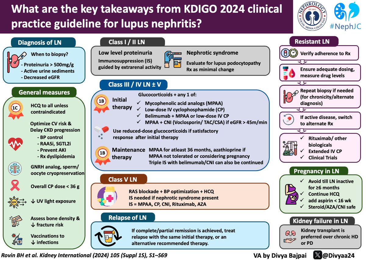 Check out the key takeaways from @goKDIGO #lupus nephritis guidelines 2024. Do you agree with these graded recommendations, especially for voclosporin & belimumab? Will this change your practice? Join us at @NephJC this week at Tuesday 9 pm Feb 6 EDT Wednesday 9 pm Feb 7 IST