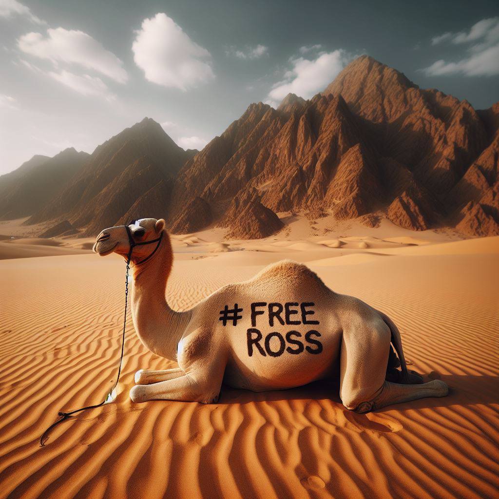 Solstahh's tweet photo. @artsch00lreject We're here solid at #SilkRoad on sol! Supporting #FREEROSS we're not a meme we're a movement! https://t.co/yPAUHC8JEq