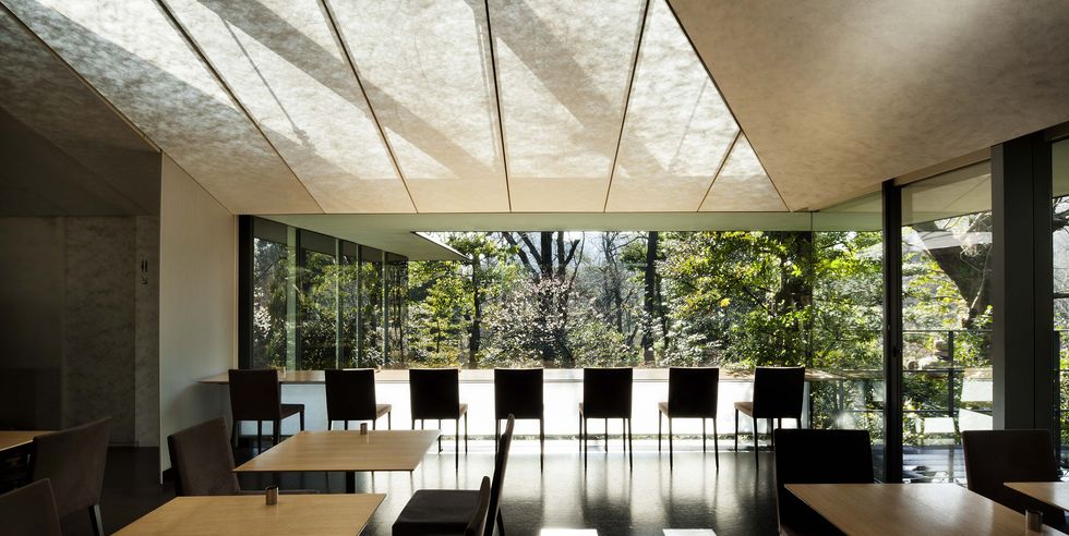 ELLEDECOR_Japan's tweet photo. 庭園の眺めに癒される！ おすすめの美術館カフェ8選
https://t.co/1v0B8aIoXn

足立美術館「喫茶室 翆」やポーラ美術館 「チューン」など、広大な庭園や緑に囲まれながらゆったりとお茶や料理を満喫できるスポットを紹介。 https://t.co/C8H0MVJZ4m