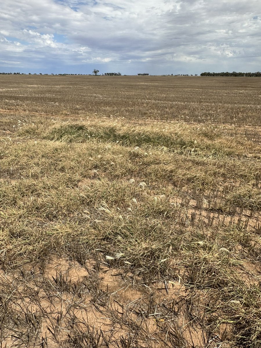 Matt Witney tweet media