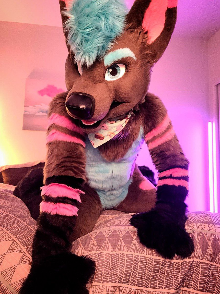 I heard Coyotes are most fun late at night 😇