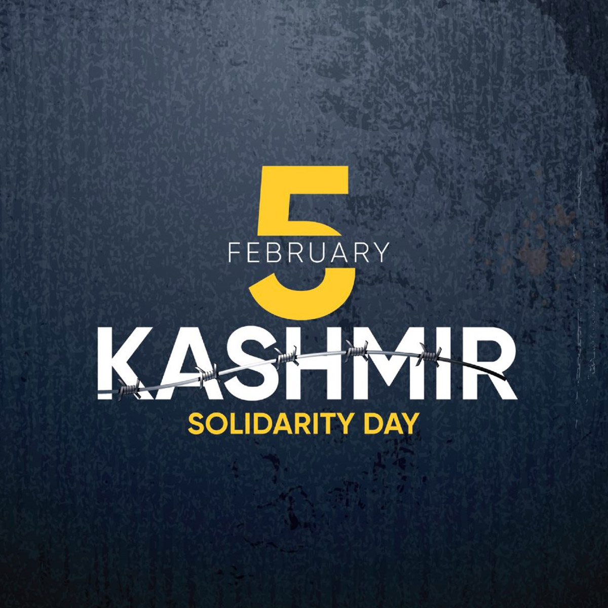 Pakistani2233's tweet photo. اے دنیا کے منصفو ! سلامتی کے ضامنو
کشمیر کی جلتی وادی میں بہتے لہو کا شور سنو 
#IIOJK https://t.co/6xT47qbg33