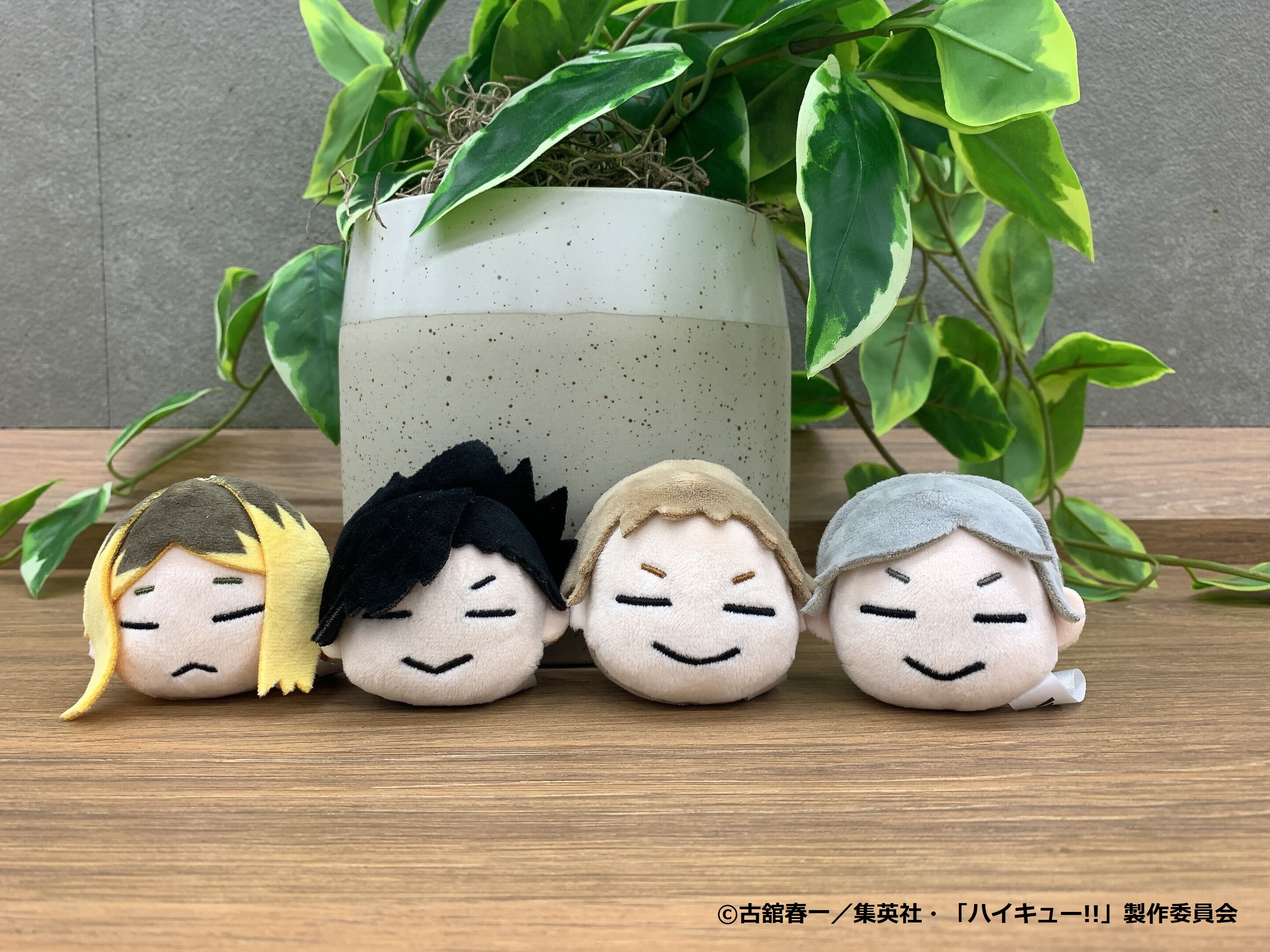 TOHO animation on X: 