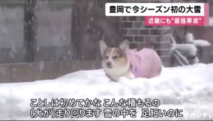 yamaflash's tweet photo. 雪のネタで一番好きなの間違いなくこれ https://t.co/a430wyLjnY