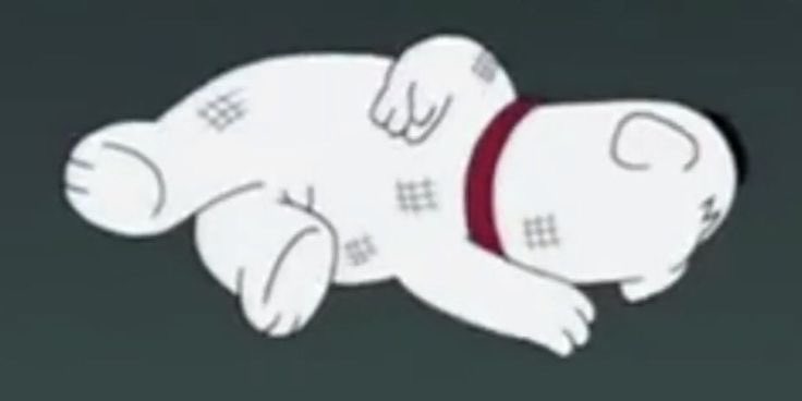 [  🐑  ]