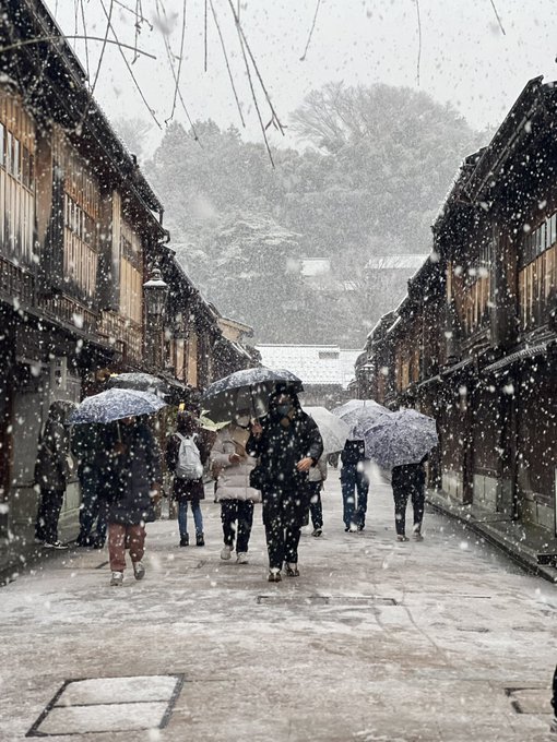 「複数の女性 降雪」のTwitter画像/イラスト(新着)