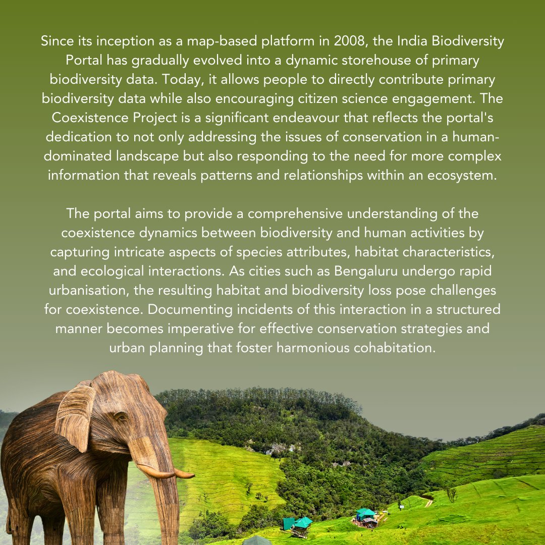 thom_vee's tweet photo. Join us today in a presentation on IBP, Citizen Science and Coexistence at Infosys Science Foundation, Bangalore at 6PM https://t.co/KLThM6VB8w https://t.co/x8ZwZh5bpe