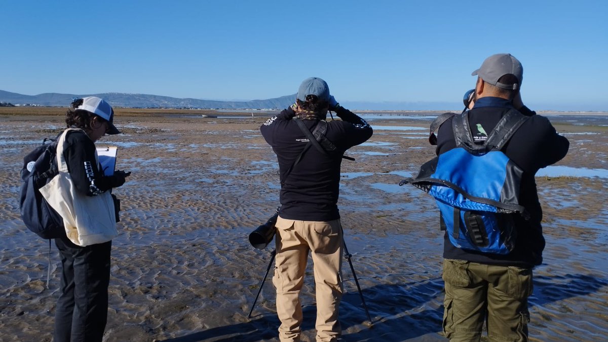 Sheccid Chagoya tweet media