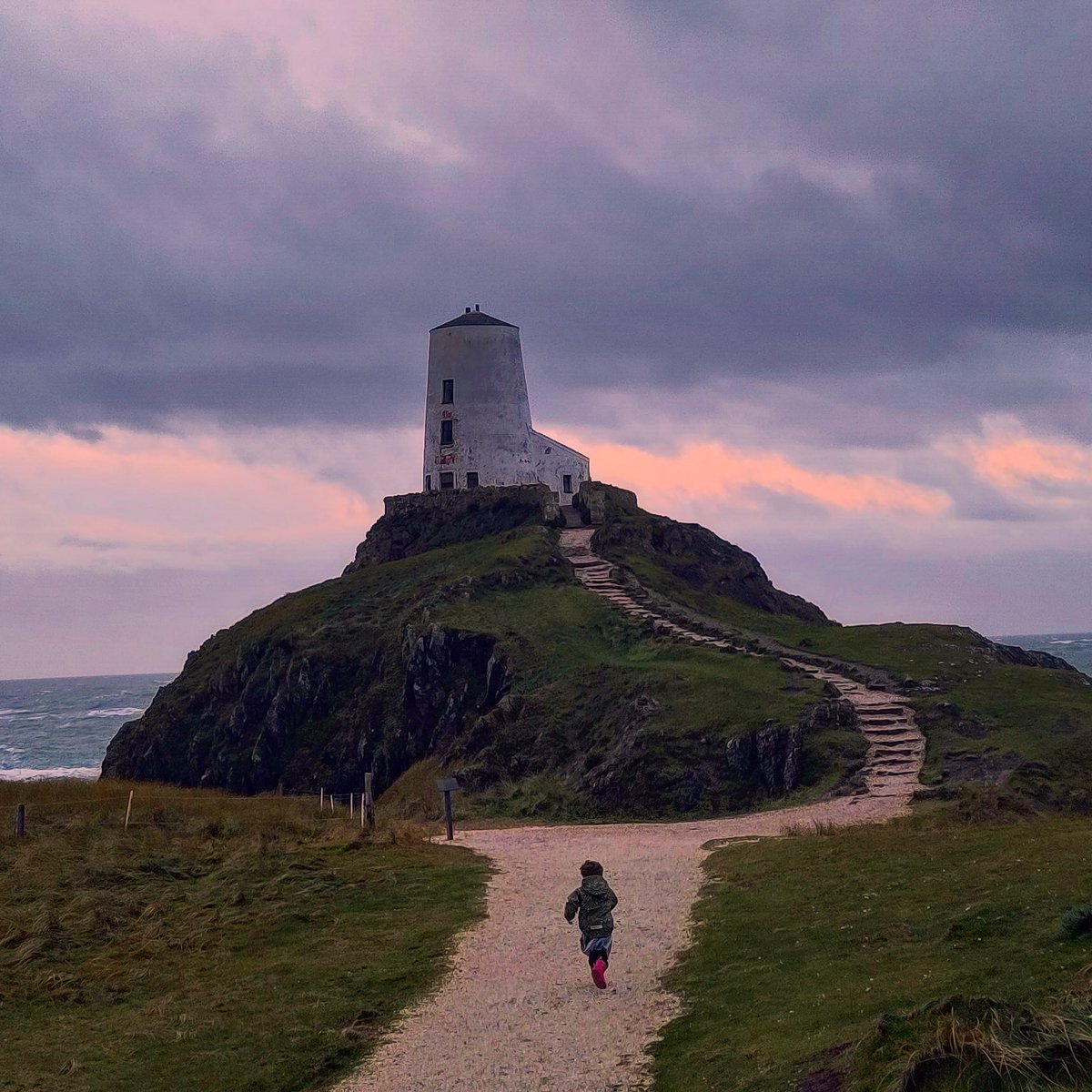 Dr. Luci Kirkpatrick tweet media