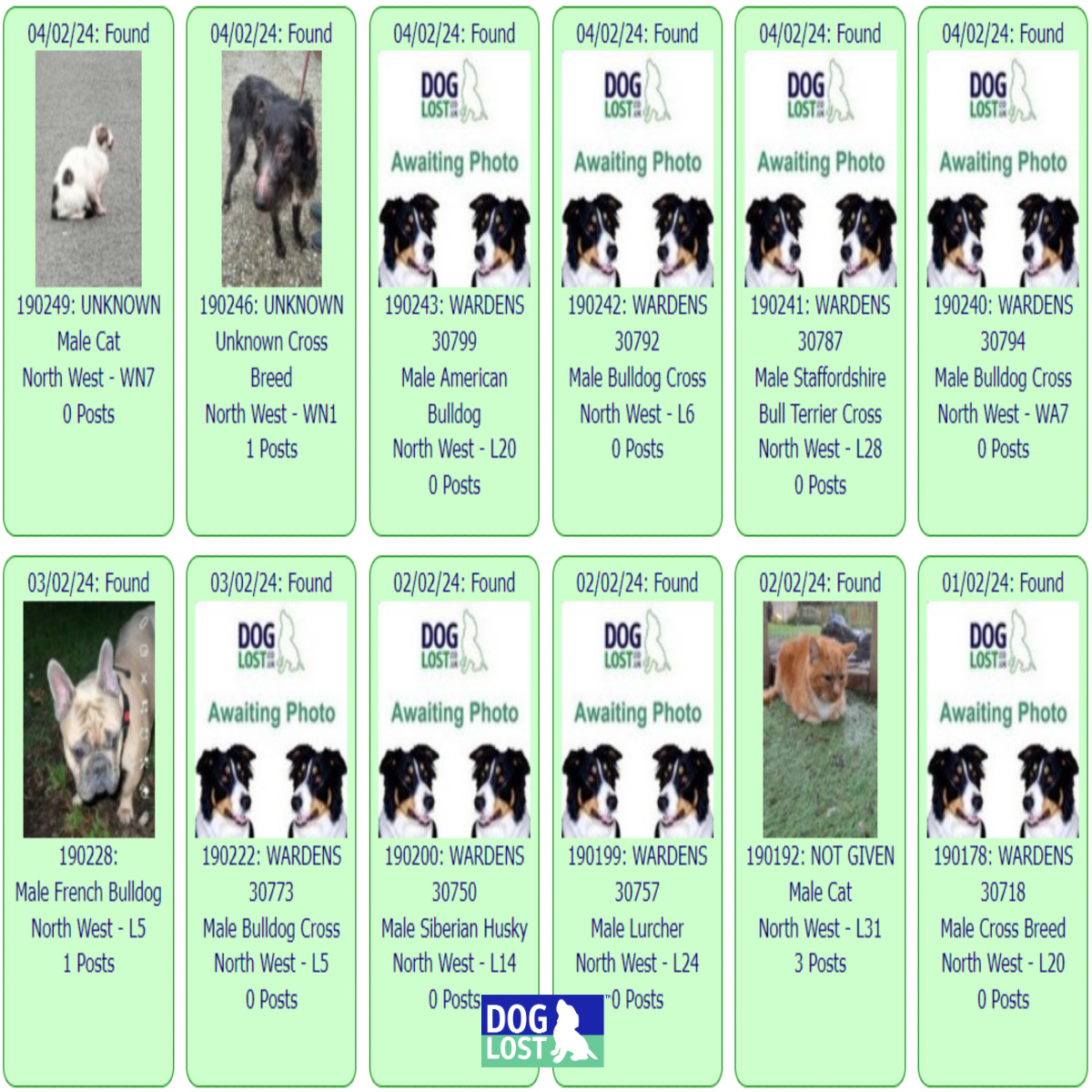#FOUND #PETS NORTH WEST * February 4th ~ 1st 2024

These #FoundDogs & #FoundCats are on the @DogLost_UK site as being FOUND in our North West Area

If you see your pet below go to doglost.co.uk & put the ID NUMBER (shown under photo) into search menu for more details