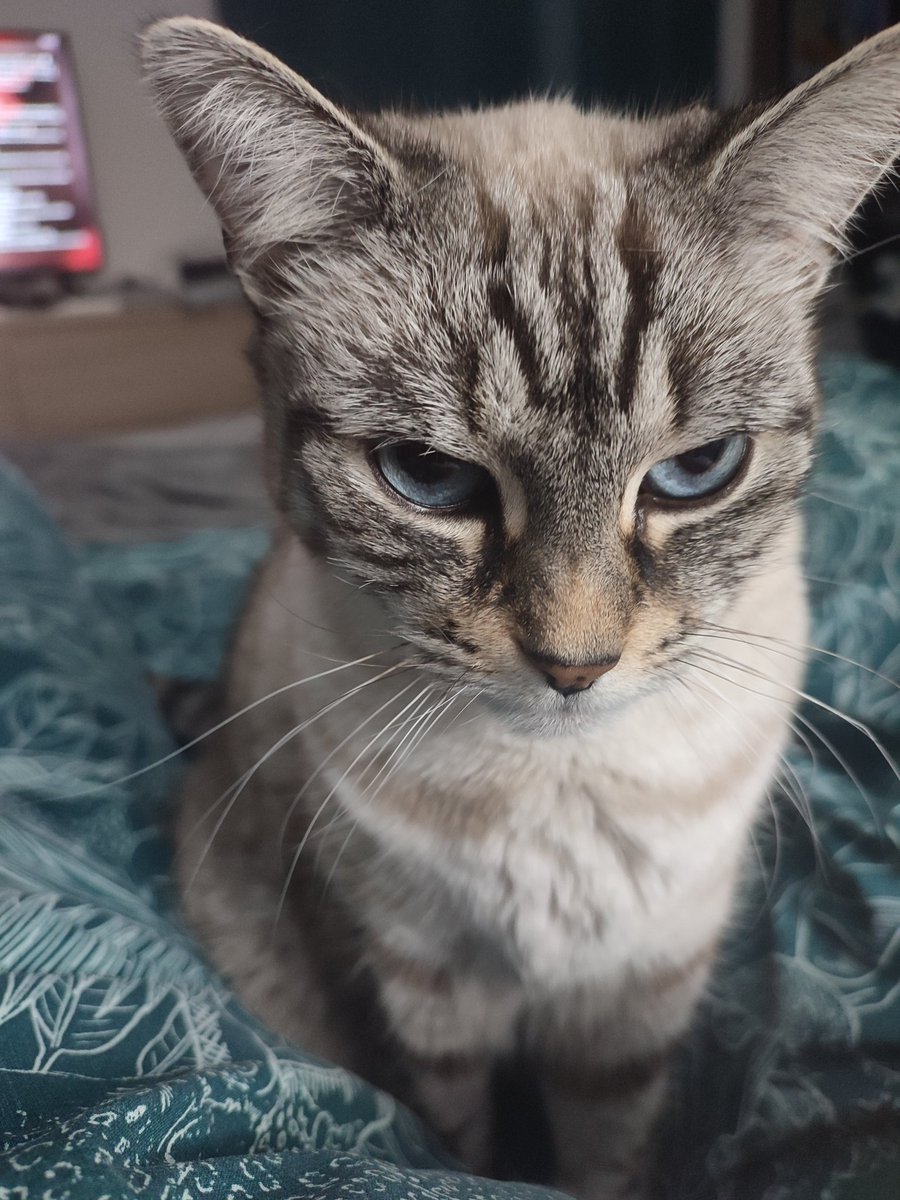 Mizu aka mizuni.bsky.social tweet media
