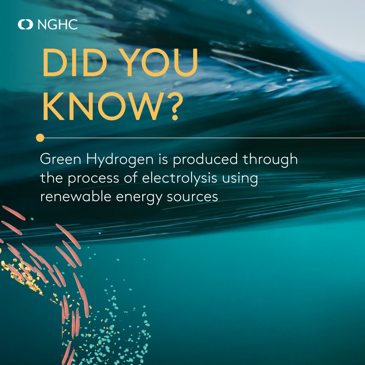 NGHC_'s tweet photo. Ever wondered how NGHC produces Green Hydrogen?
 
Swipe to learn more about the process of 'electrolysis' which uses 100% clean energy to produce the fuel of the future.
 
For more information, visit our website https://t.co/Pbe2ct9lca, and join us on a journey for a greener tomorrow.

#NGHC #NEOMGreenHydrogenCompany #FuellingFutures