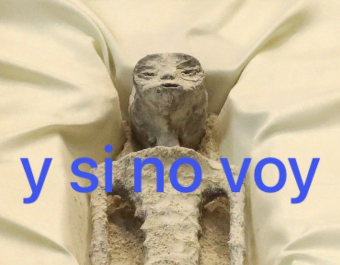 jolu tweet media