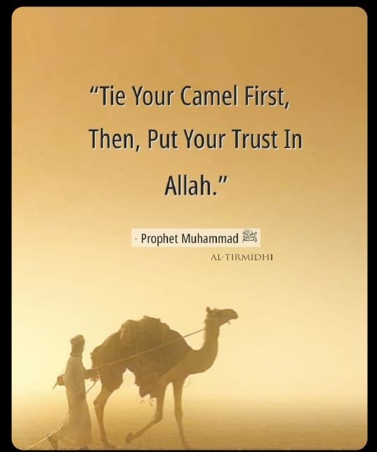 Follow my others account
<a href="/isma5422/">isma</a> 
<a href="/Tina33389/">Tina</a> 
<a href="/alicealice4323/">alice</a>