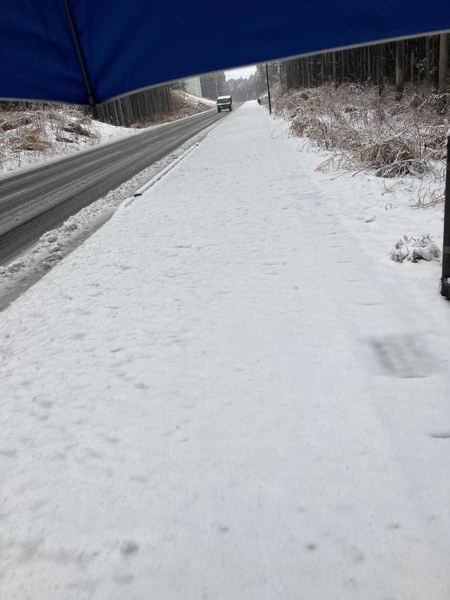 basic_walking's tweet image. 雪道ウォーク
注意点⚠️

・帽子や手袋を装着
・滑りにくいシューズを履く
・歩行移動時間いつもの倍以上
・すべりにくいルートで移動する

時間にゆとりをもって
丁寧に歩こう👣

#歩行
#歩き方
#雪道
#ウォーキング