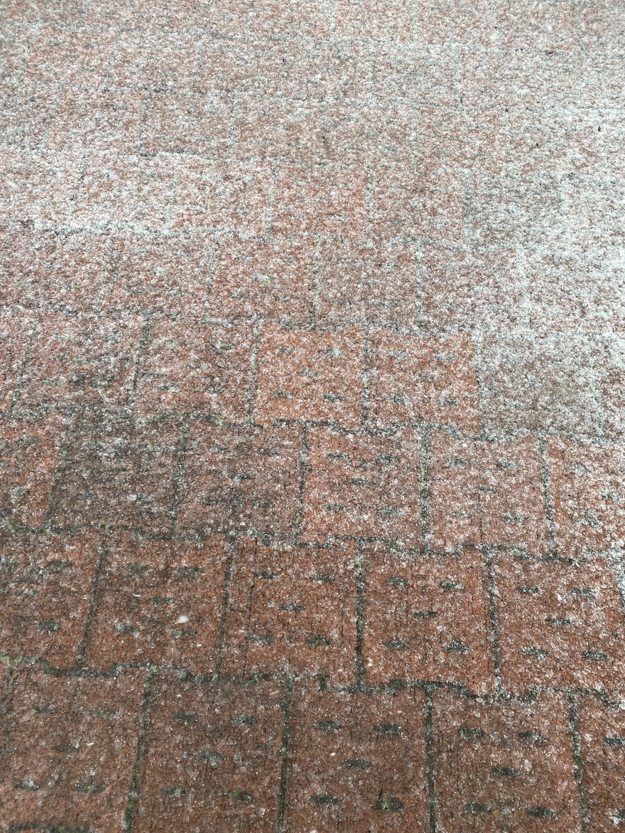 gajumaru3's tweet photo. 春の雪払って虚無の顔を見る
#虚無の人 #nullperson #kigo #haiku #micropoetry https://t.co/p8vK0GKgjf