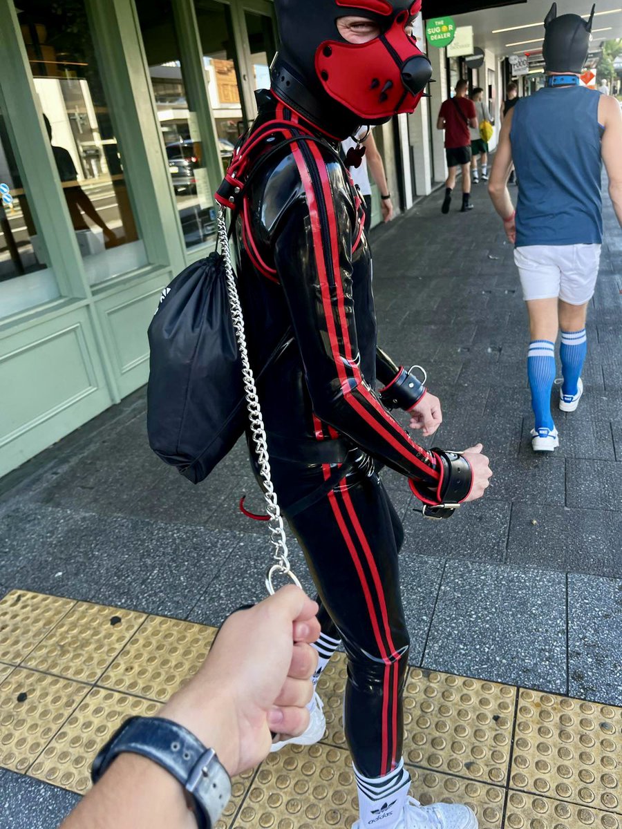 Had super fun walkies down K road 🐶 <a href="/Busterthepupnz/">Pup Buster</a> was great with the lead, altho he could’ve let me off it for at least a bit surely 🥺 #gaypup #rubberpup