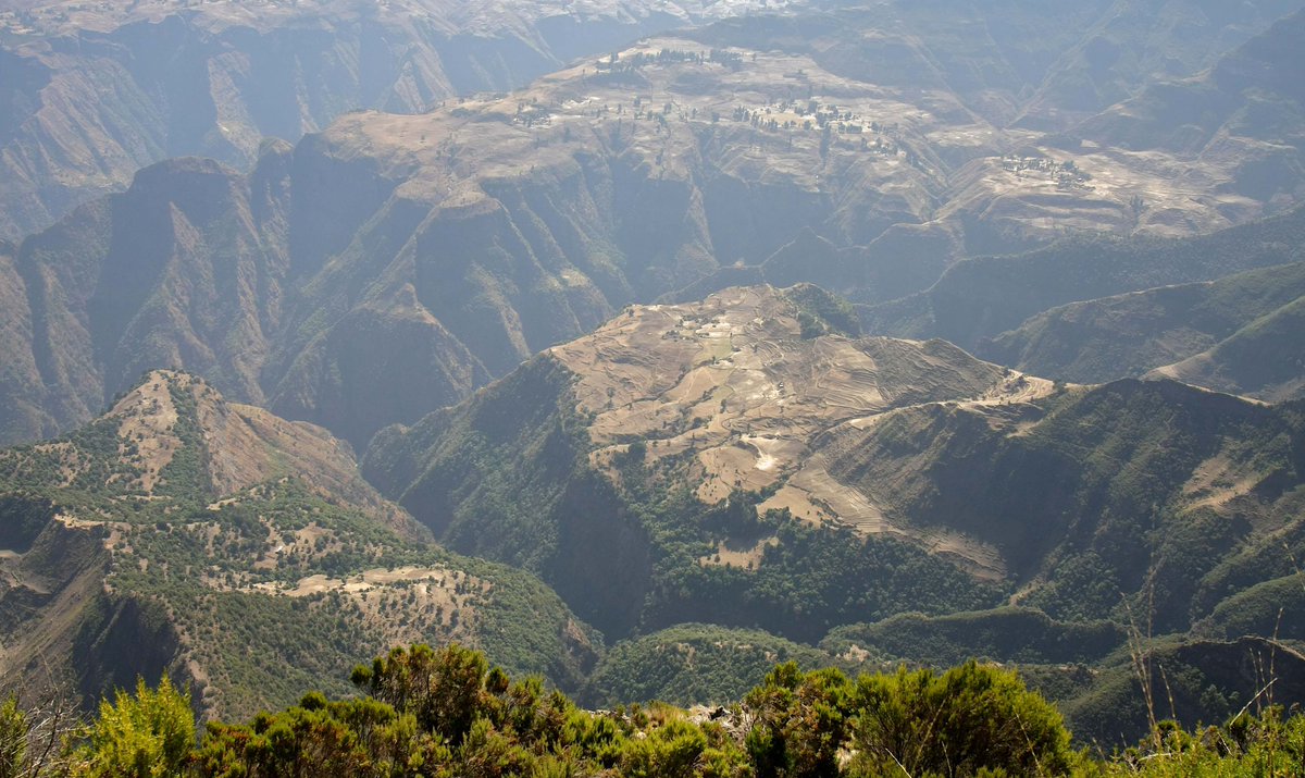 fanostour's tweet photo. Simien Park is a beautiful destination that is known for being the home of the endemic Gelada baboon. https://t.co/mnSRYSVE6F