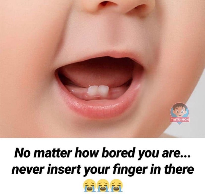 nyambenis's tweet image. The snake found out.