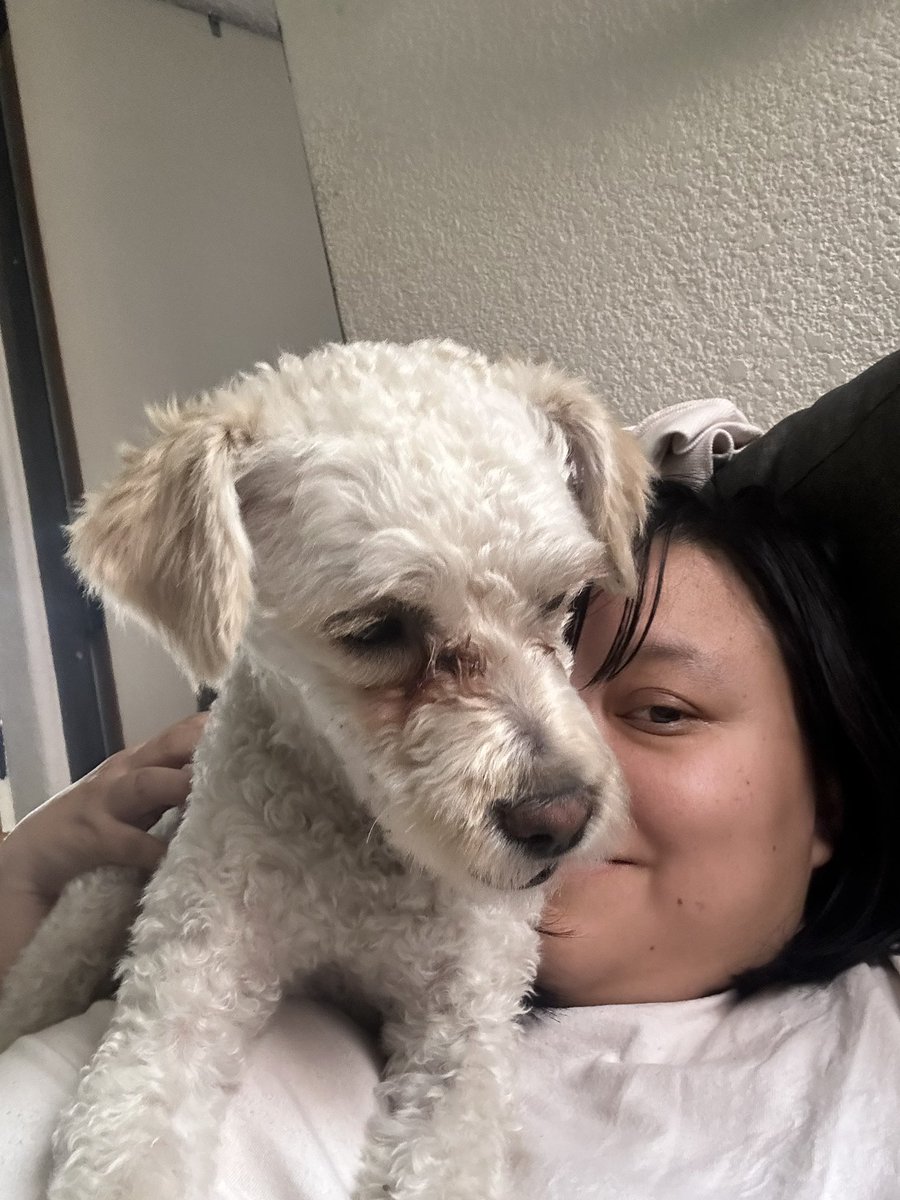 marisolcaso's tweet photo. Porque nadie me dijo que adoptar un perrito de calle significa ver como alguien toma pipí o come pasto y tierra porque antes así sobrevivía? Nunca más Rufus, ahora hay pollito y croquetas chidas 🫀🐶🥹✨ https://t.co/QuCWnhIBFS
