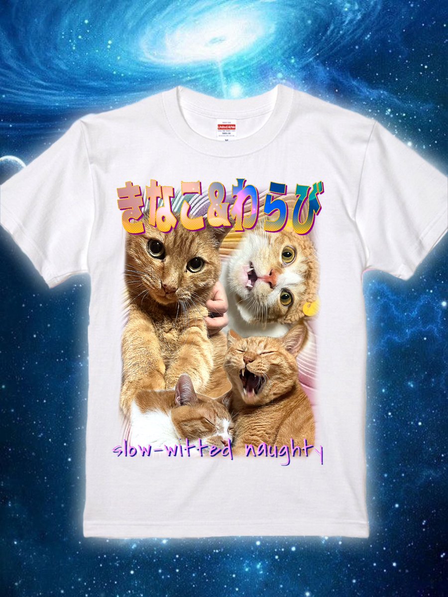 animaruT_shirt's tweet photo. @nononsama 🐈🐈きなこ&amp;わらび
地球日本からカリスマ猫"きなこ&amp;わらび"がアニTに初登場！！のんびりやんちゃな1枚です。

#アニT #アニ丸Tシャツ #アニ丸Tシャツ屋さん #猫T  #猫Tシャツ #CATteeshirts #catt #動物T #動物Tシャツ #animalte #raptee #raptees #rapteeshirts #バンドTシャツ #バンT https://t.co/P7g1U9bTP2
