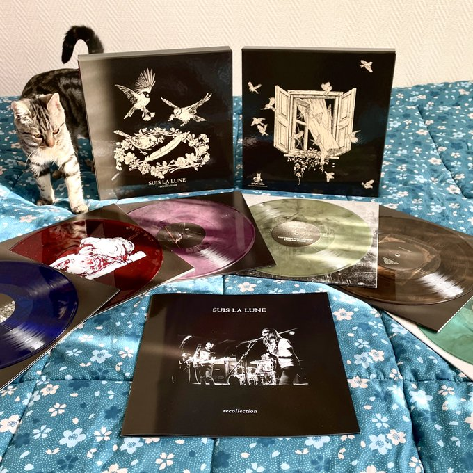 Who are interested on Suis La Lune - recollections box set include 6x LPs? 

dm for price!