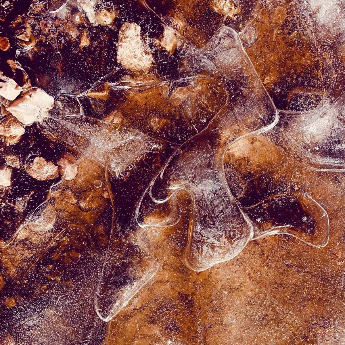_ad_inf_'s tweet image. Winter&apos;s grip loosens, leaving behind a temporary collage of ice.
📸🧊🟫🟧🟨⬜️⬛️
#TransientTreasures #IcePatterns #AbstractNature #TexturePhotography #NaturePhotography #AnalogDigitalNatural