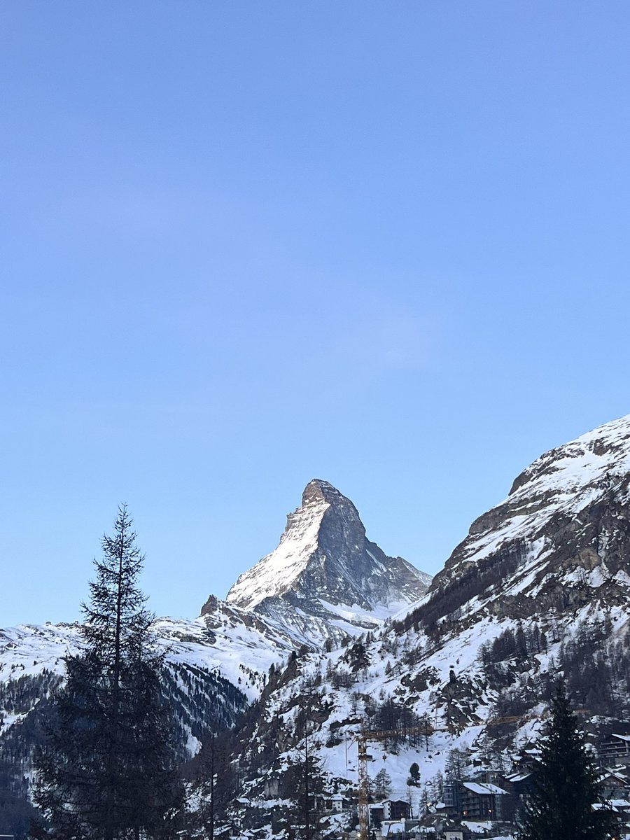 Dinko Eror tweet media