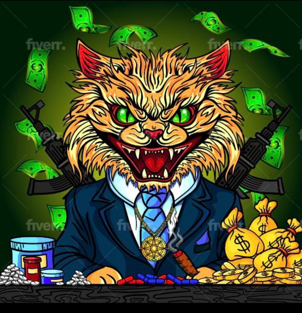 Cocaine_Cat_Sol's tweet photo. @Crypto_sarah11 If you like #NFT stay tuned. We are releasing a collection real soon. $CCC #Sol #CocaineCat https://t.co/Rw64TNq4yi