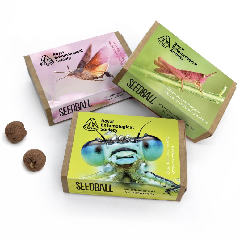 LAUNCH DAY!!! 🐞🐜 Brand NEW Mixes Transform your garden now into a vibrant sanctuary for insects! And we will donate 90p for every set sold to The Royal Entomological Society seedball.co.uk/product/royal-… #insectlovers #royalentsoc #royalentsocseedball #rewild2024