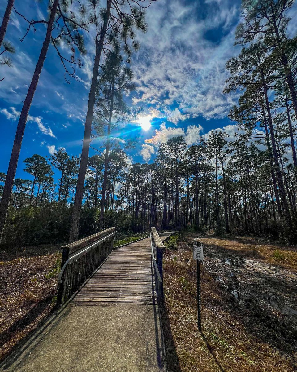 Taking a stroll on one of my favorite trails today🍃🌞

#pensacolavibes #purefl #explorepcola #upsideofflorida #florida #lovefl #pcola #pensacolabeach #sharealittlesunshine #pureflorida