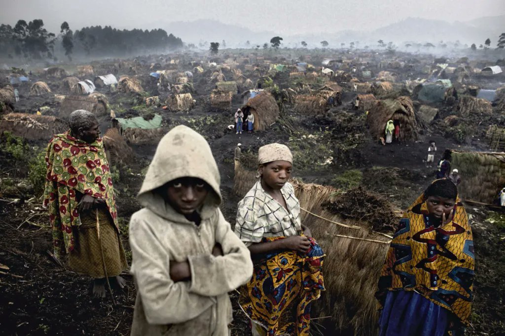 CerfiaFR's tweet photo. 🇨🇩 Viols, massacres… La situation se dégrade depuis plusieurs jours en RD du #Congo, en proie à des massacres par des terroristes et des rébellions depuis plusieurs années au #Kivu. Le pays vit l’une des plus grandes crises de déplacement humanitaire au monde, selon l’OIM. Des millions de civils sont déplacés et au moins 6 millions de morts sont à déplorer depuis le début du conflit.