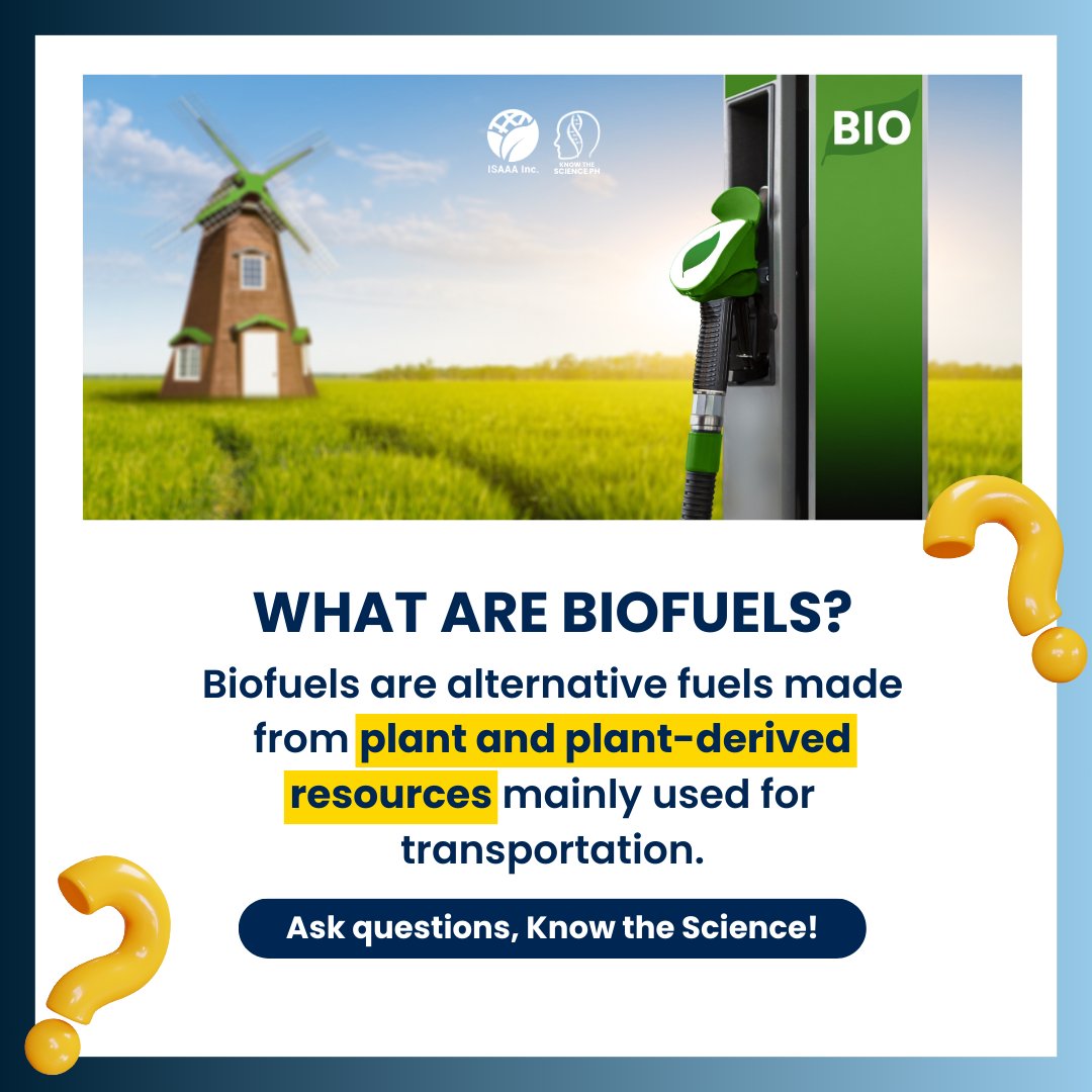 KnowSciencePH's tweet photo. Bioethanol and biodiesel are two types of biofuels.
Read the ISAAA Pocket K to learn more about biofuels: https://t.co/aVDrGvOLNl
#Biofuel #Bioethanol #Biodiesel #Biotech #Biotechnology #KnowTheSciencePH #ISAAA https://t.co/zEt3YCjsat