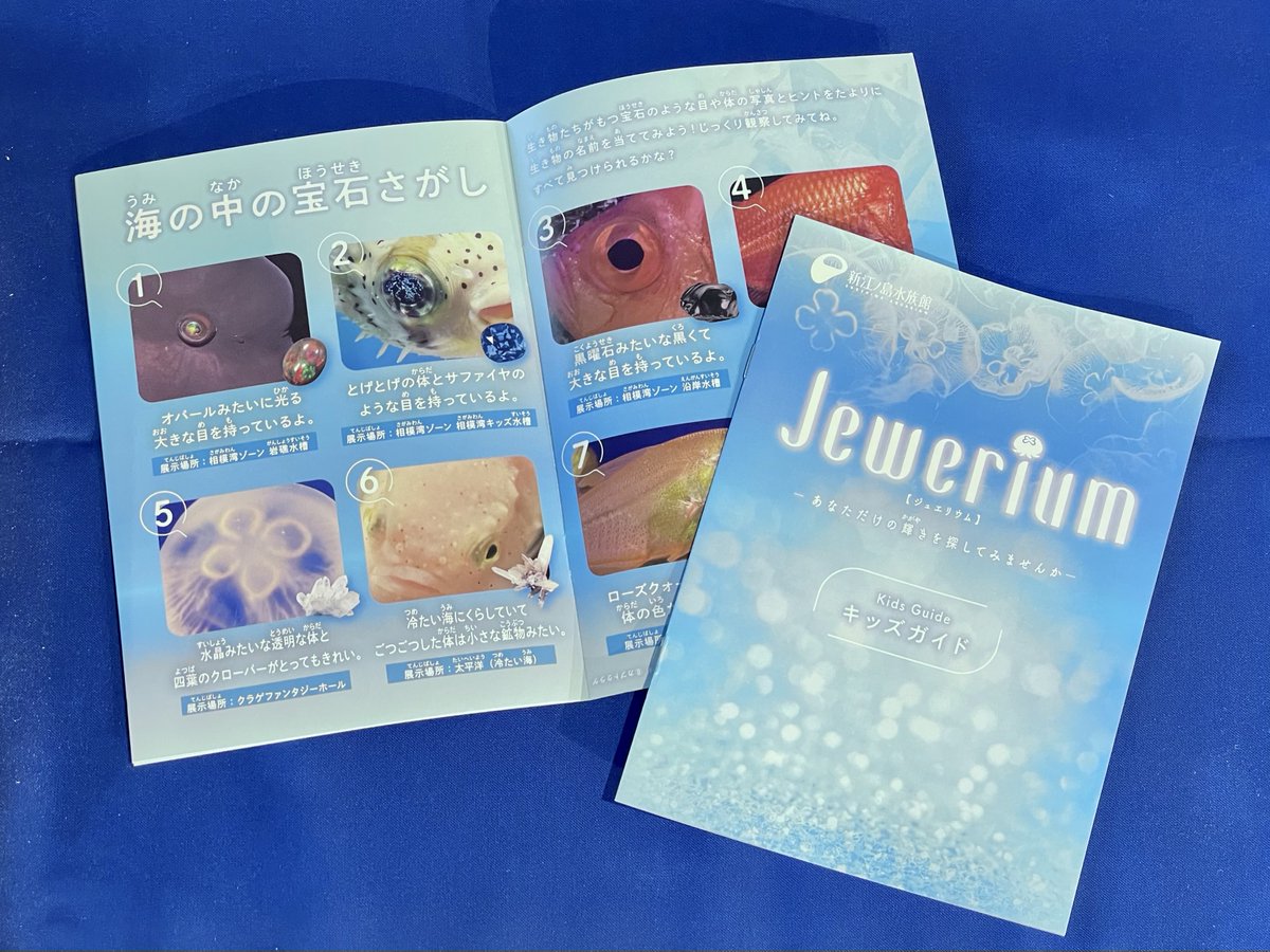 lawson_ticket's tweet photo. 💎海の中の宝石さがし💎
#新江ノ島水族館 で開催中の冬季イベント #Jewerium では
イベントオリジナルのキッズガイドを配布中✨
いつもと少し見方を変えてみたら、海の中でお気に入りの宝石が見つかるかもしれません。
チケット受付は👇
https://t.co/V6t5UV9mU5 https://t.co/asvDkYf3uS
