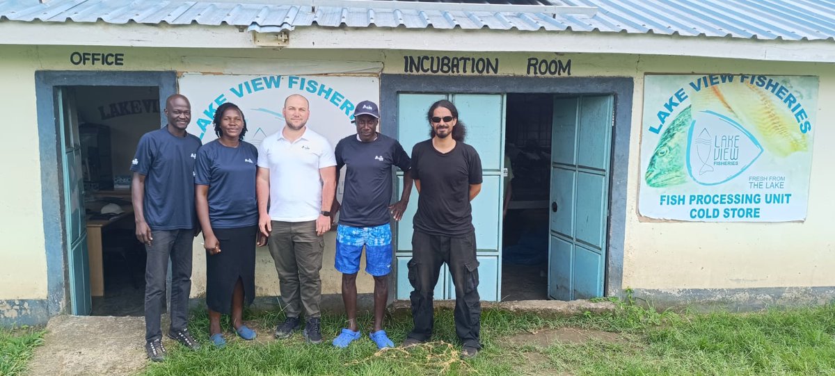 Aller Aqua, one of the leading fish feeds companies in the world, visited Lakeview Fisheries Ltd farm in Mfangano, to seek collaborations on using quality feeds and supplying tilapia fingerlings to the IDH projects. #alleraqua #fishfarming #lakeviewfisheries
