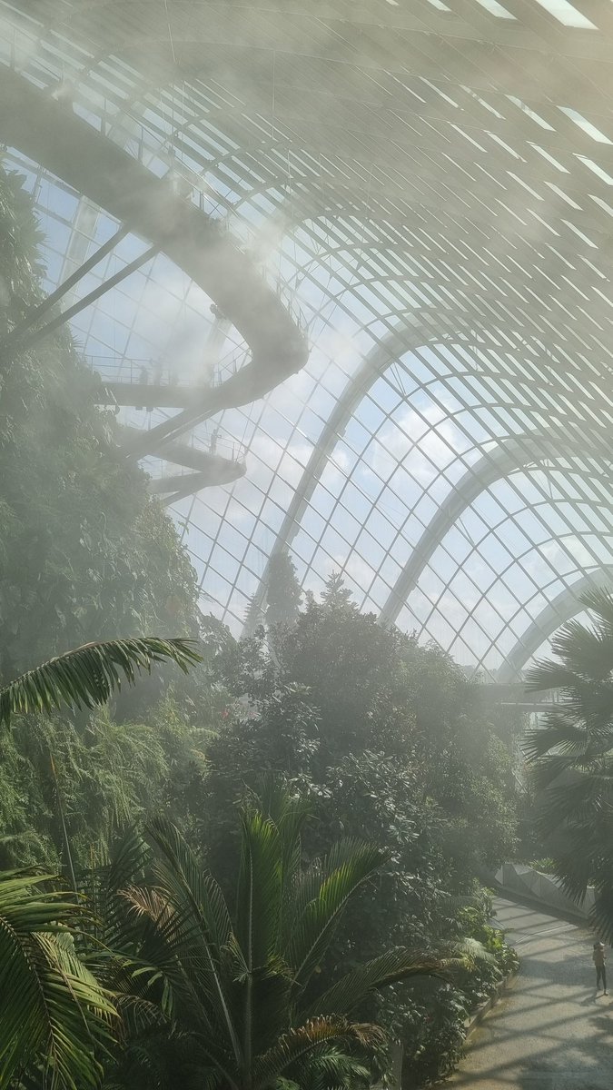 Took the newborn out to touch some grass this morning. She slept soundly throughout ❤️