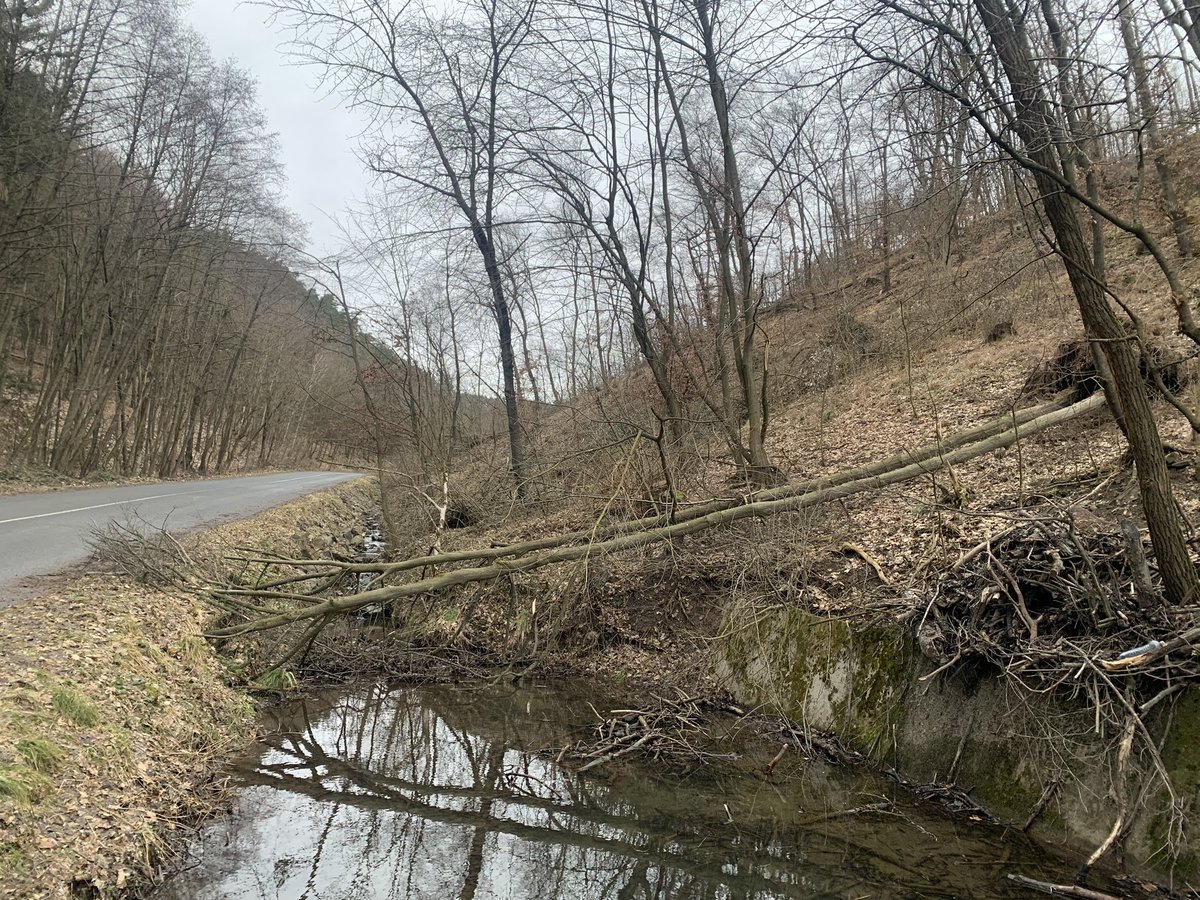 Mechurova_CT's tweet photo. Jedenáct větrem vyvrácených stromů odstraňovali ze silnic hasiči z @hzsjhm. Výstraha @CHMUCHMI na velmi silný vítr platí do 12 hod, problémy ve veřejné dopravě nebo v energetice ale zatím nejsou. https://t.co/ZZ1WlygtsS