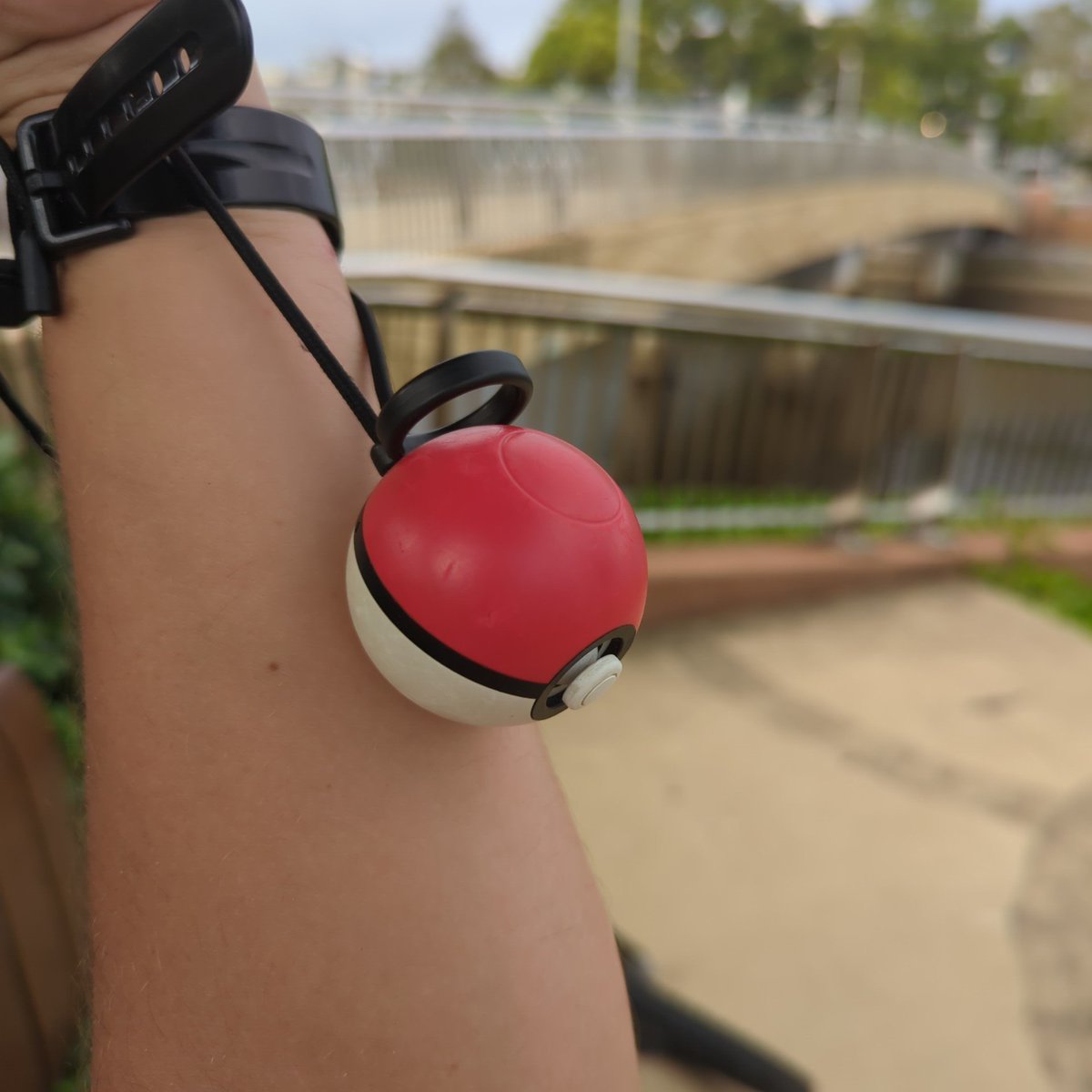 Lukewarmluffy's tweet image. #pokemonforpalestine
#fourfive
#palestine
#freegaza