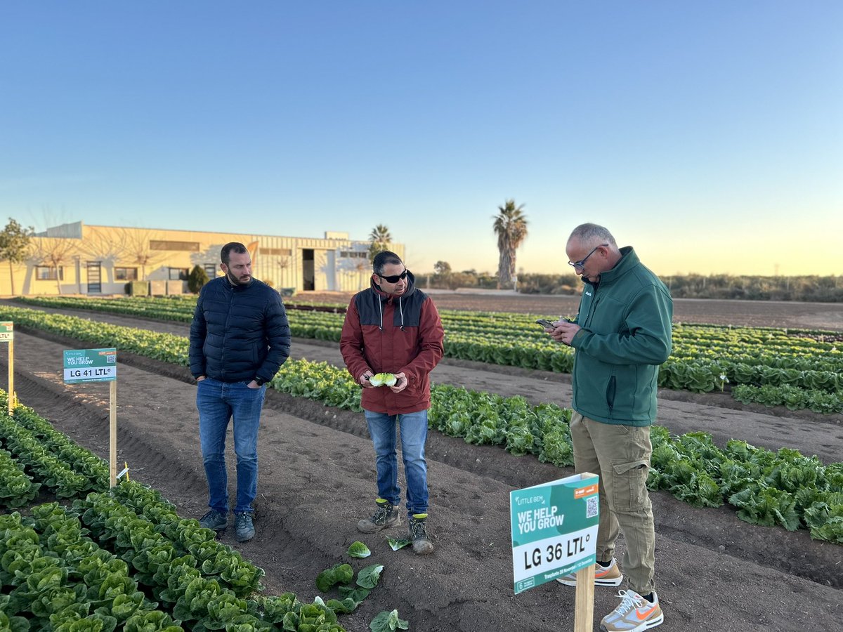 Elvira Vitores (@elviravitores) on Twitter photo Bienvenid@s al #NunhemsDemoSalads 🥬🥬🥬 Empezamos la semana 👏🏻👏🏻👏🏻 <a href="/BASF_AgroES/">BASF Agro España</a> <a href="/BASF_ES/">BASF España</a> Bienvenid@s al #NunhemsDemoSalads 🥬🥬🥬 Empezamos la semana 👏🏻👏🏻👏🏻 <a href="/BASF_AgroES/">BASF Agro España</a> <a href="/BASF_ES/">BASF España</a>