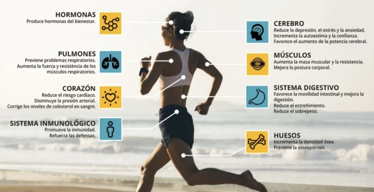 gorka_orive's tweet photo. ¿A qué hora es más recomendable hacer ejercicio?
¿Es importante elegir el momento ideal para ejercitarse de cara a optimizar los beneficios?
¿Qué sabe la ciencia al respecto? Os cuento las últimas evidencias publicadas. Agradezco RT. https://t.co/rFxIM7DdmJ