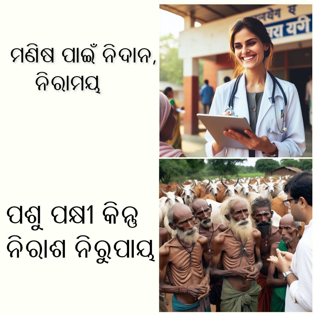 ovsacuttack's tweet photo. #OdishaVetsOnProtest 
@SecyChief @PradeepJenaIAS @rajaaswain @farddept @MoSarkar5T @CMO_Odisha @GovernorOdisha @rashtrapatibhvn @IASassociation @IASfraternity @_anugarg @roopars @Vkpandianfancl1 @sureshvashishth https://t.co/Z1HLMQMOGw