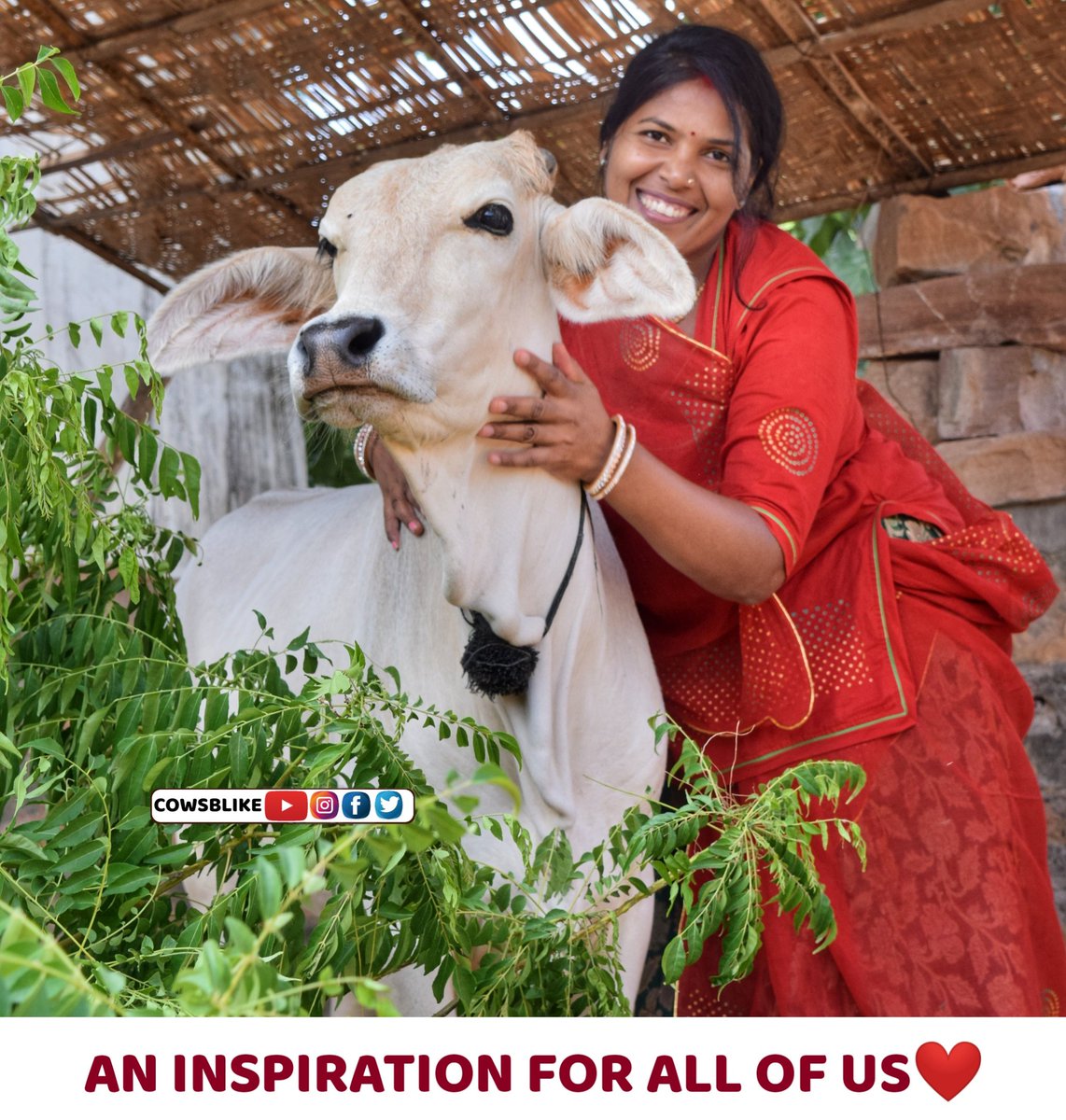 Happy Birthday To The Mother Who Doesn't Just Raise A Family, But Also Raises Awareness And Compassion For Cows !! #Cowsblike