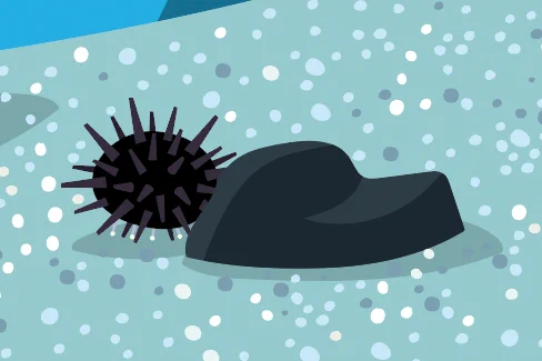 幼児誌の水族館の絵で・・・ヒトデを描いてくださいという編集者さんは多いんだけど、ウニはあまりリクエストされないな〜・・・ウニも入れちゃお 